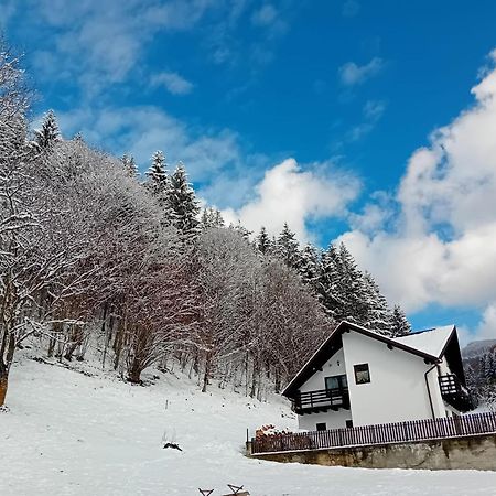 Willa Casa Valea Prejbei Rau Sadului Zewnętrze zdjęcie